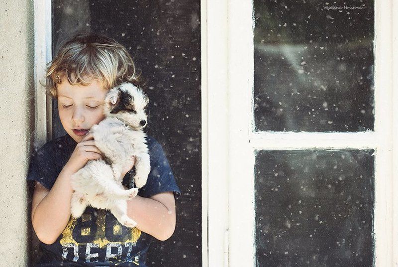 The future belongs to those, who believe in the beauty of their dreams. (Eleanor Roosevelt) фото превью