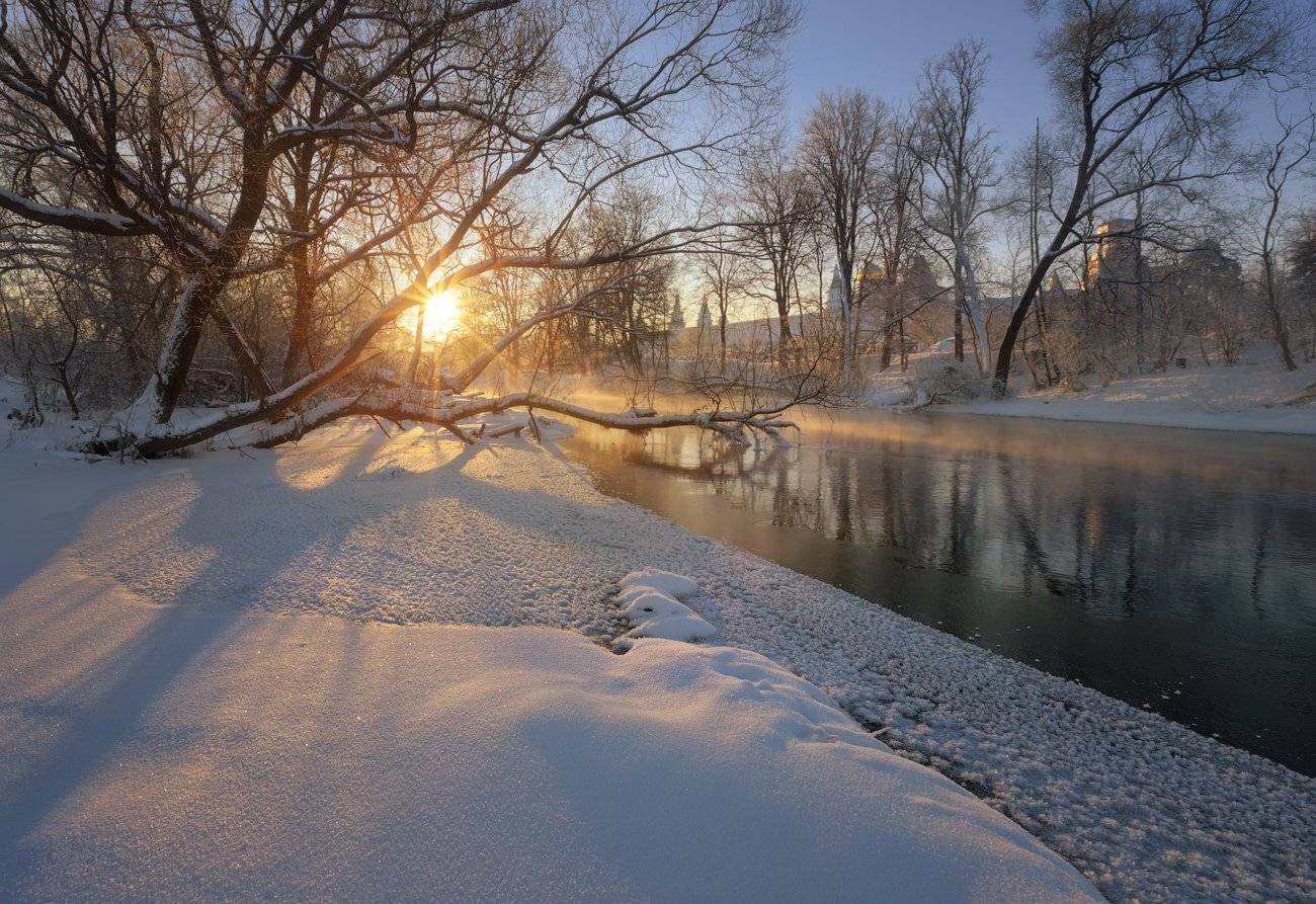 , Денис Сорокин