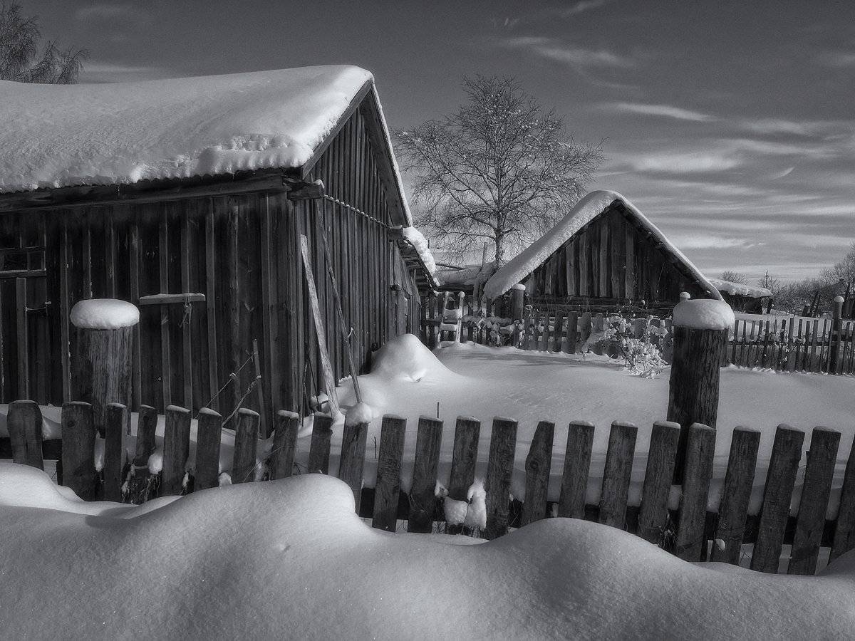 , Владимир Перепечаев