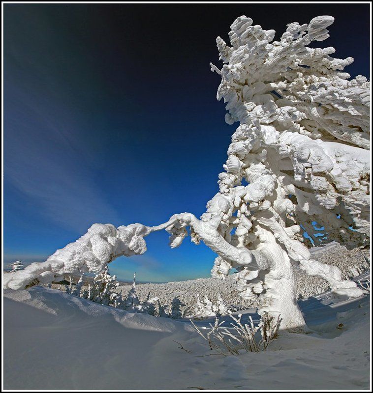 И вот , она нарядная... фото превью