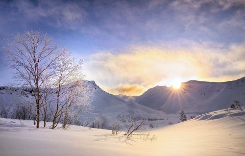Morning glow