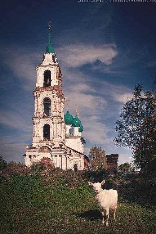 , Алексей Лобанов