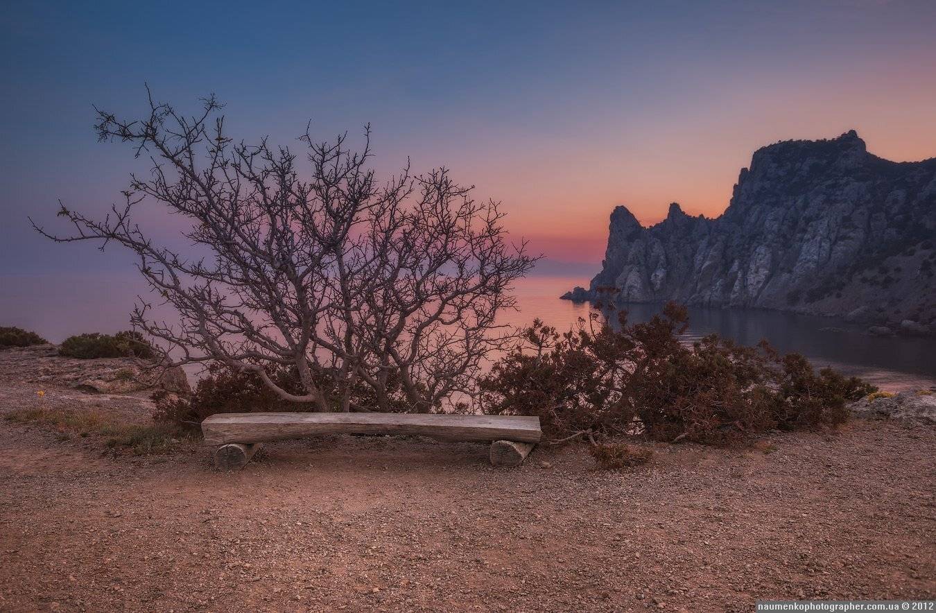 , Александр Науменко