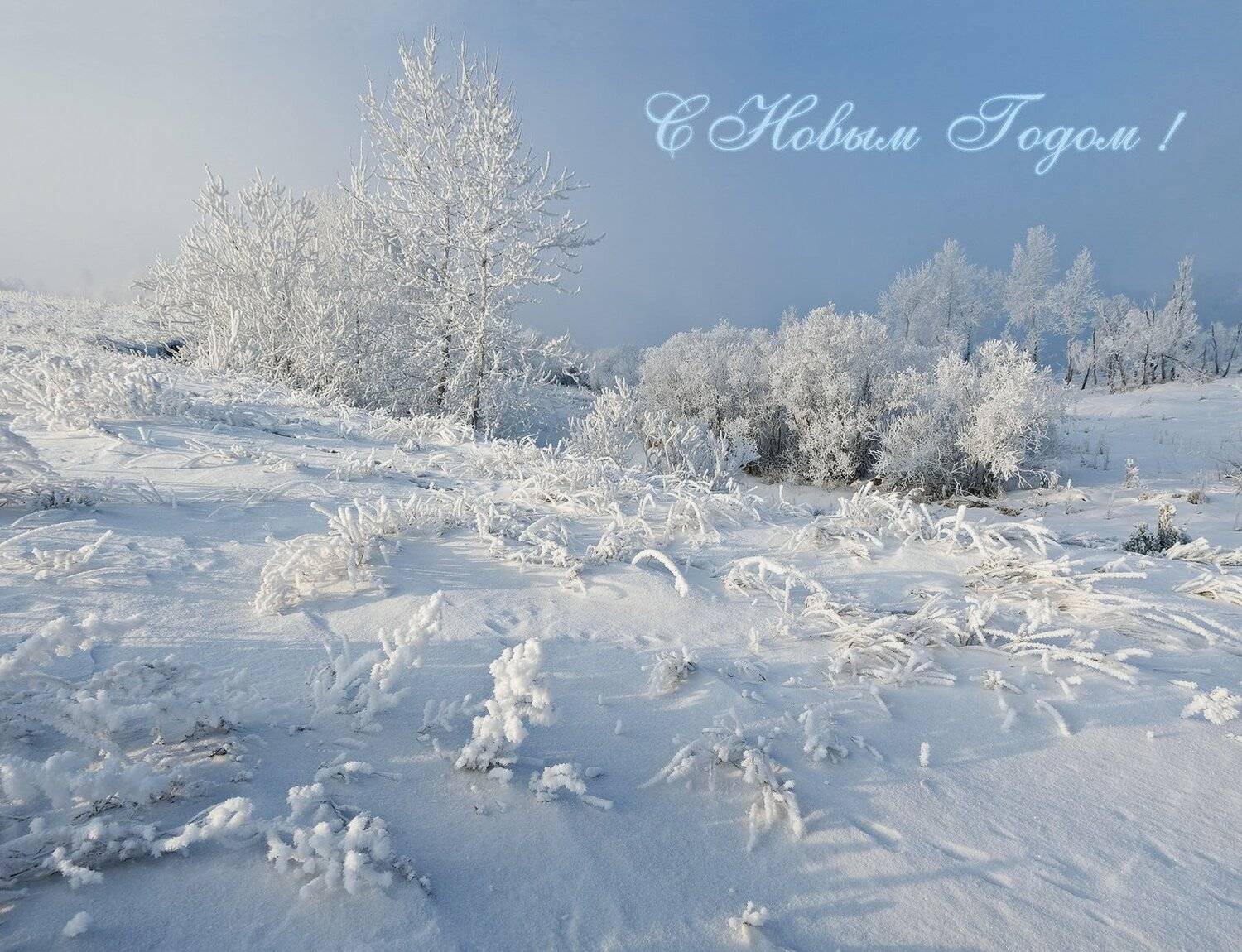 , Лещёнок Александр