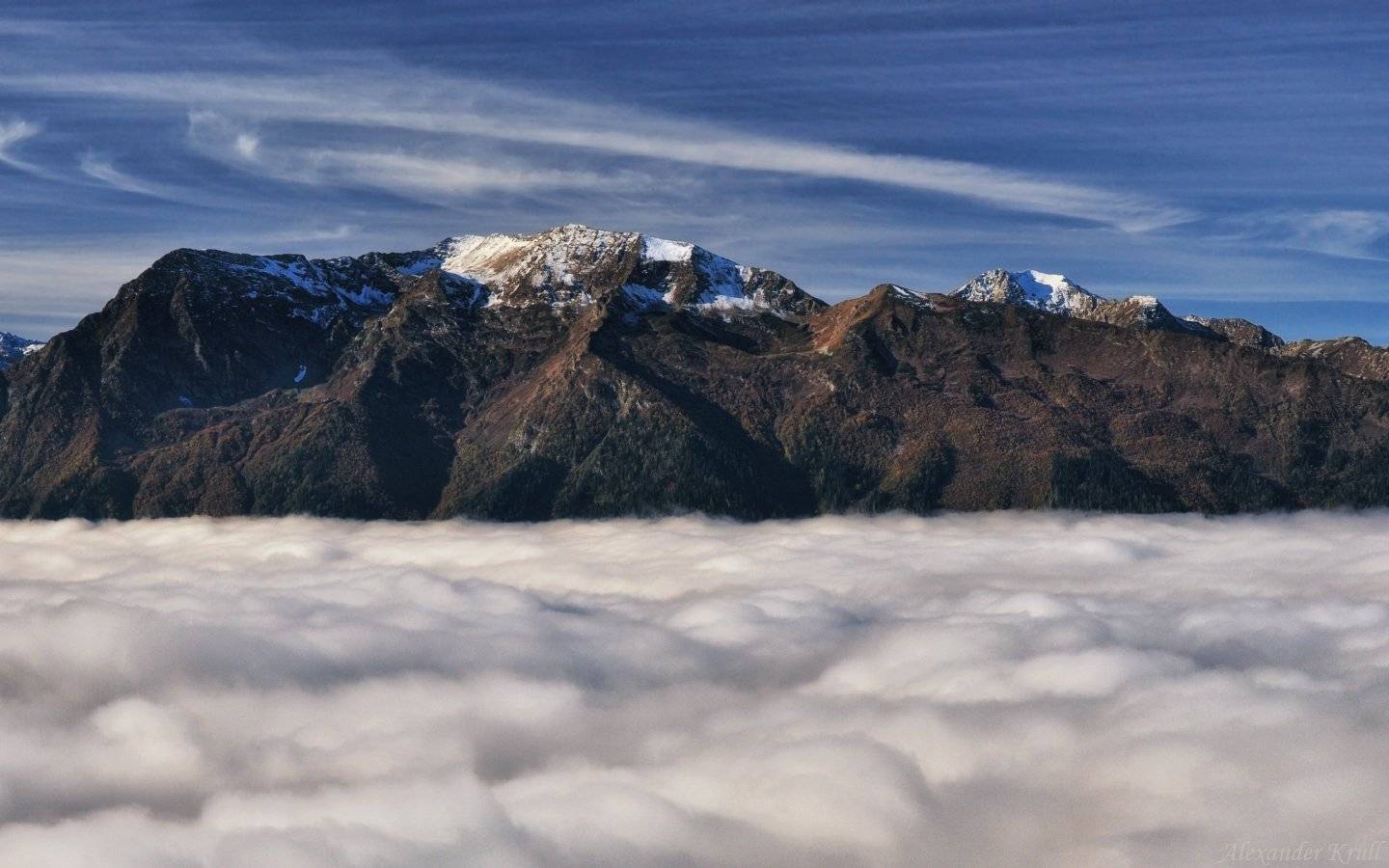 , Александр Круль