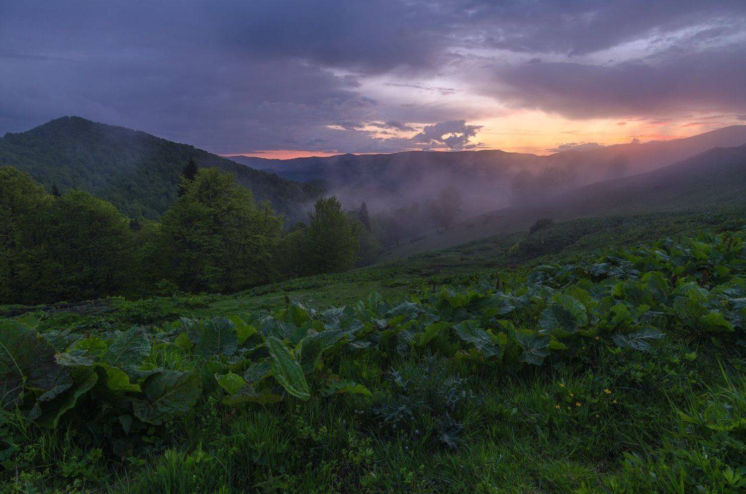 горы, закат, карпаты, менчул, полонина, U-235