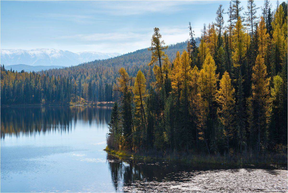 , Кутыгин Эдуард