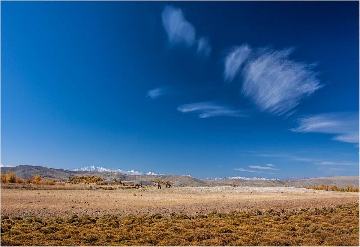 , Кутыгин Эдуард