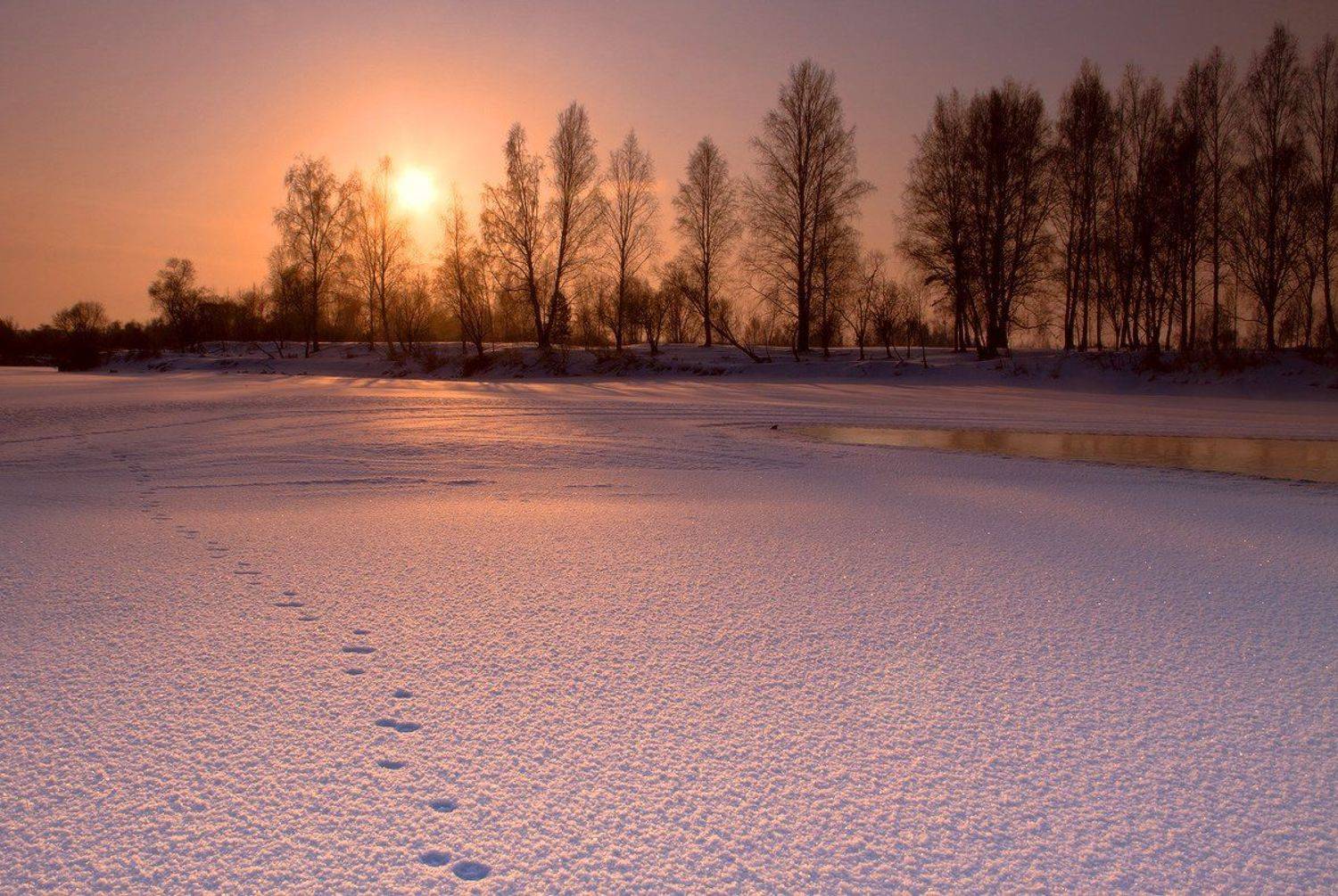 , Николай Морский