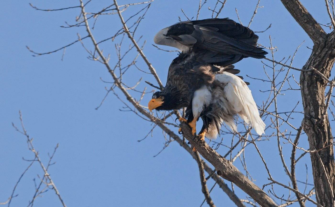 , Евгений Слободской