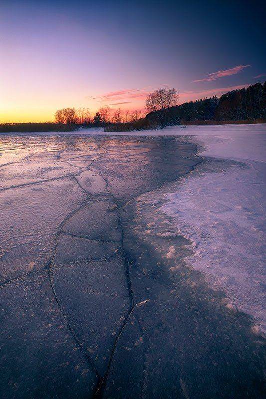, Федотов Антон