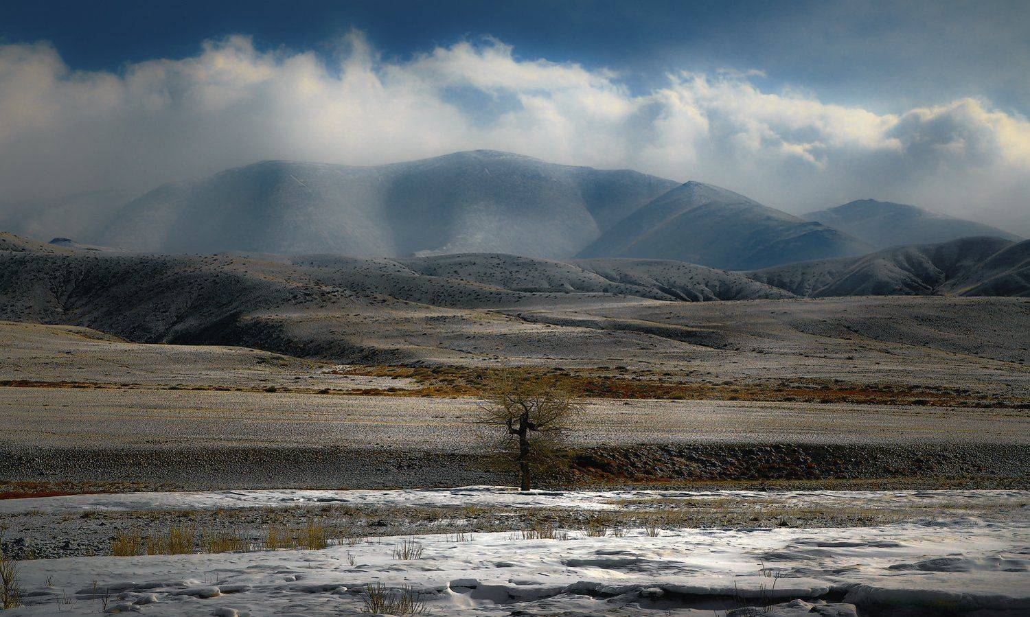 Central Asia region, Chui Steppe, Morning, Mountain pass, Russland, Siberia, Zentralasien, Горный алтай, Горы, Дерево, Облака, Пустыня, Сибирь, Снег, Солнечно, Утро в горах, Чуйская степь, holod