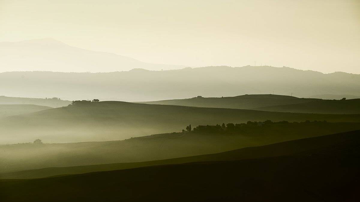 , Bogdan Panait
