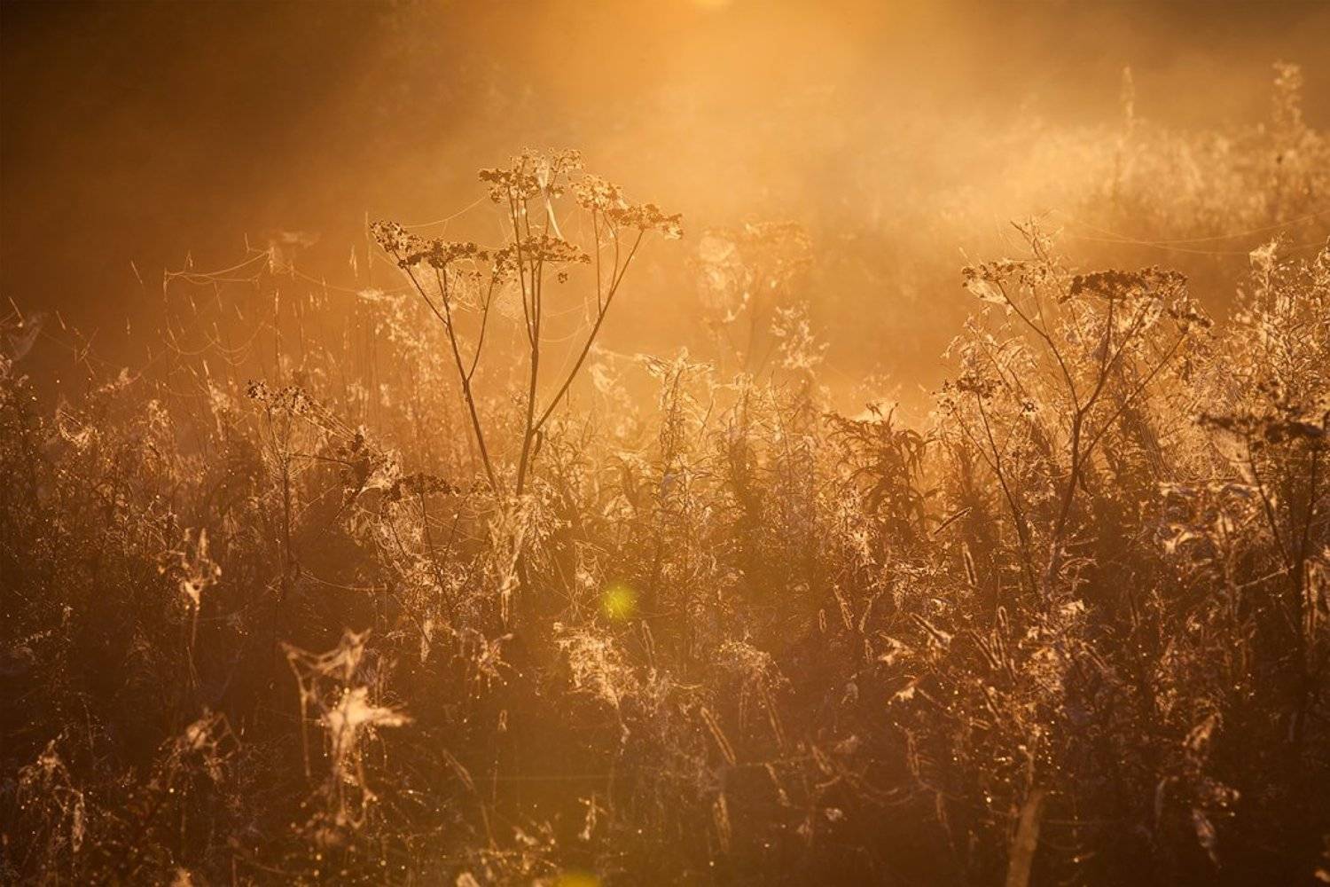 , Ростислав Красноперов