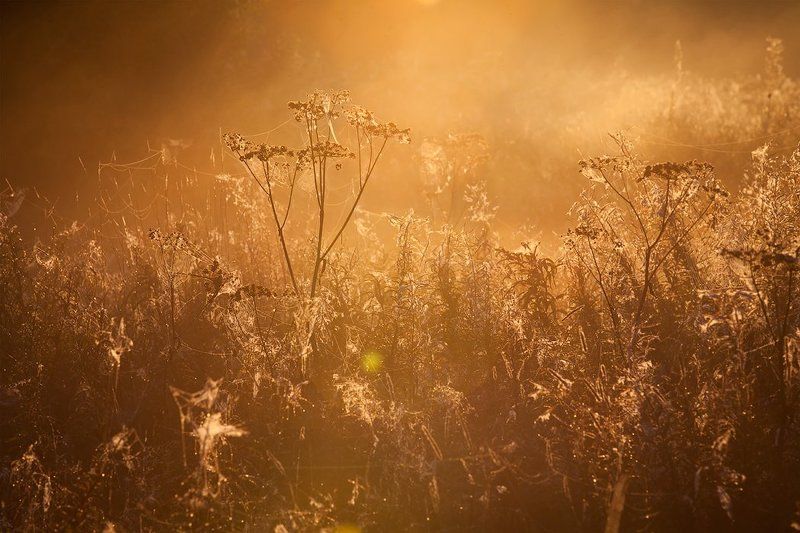 Утром фото превью
