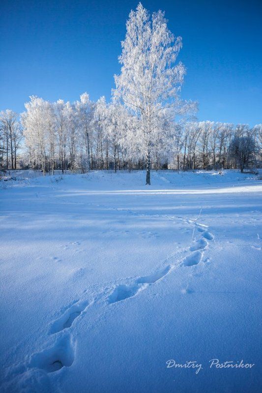 В декабре 2014-го. фото превью