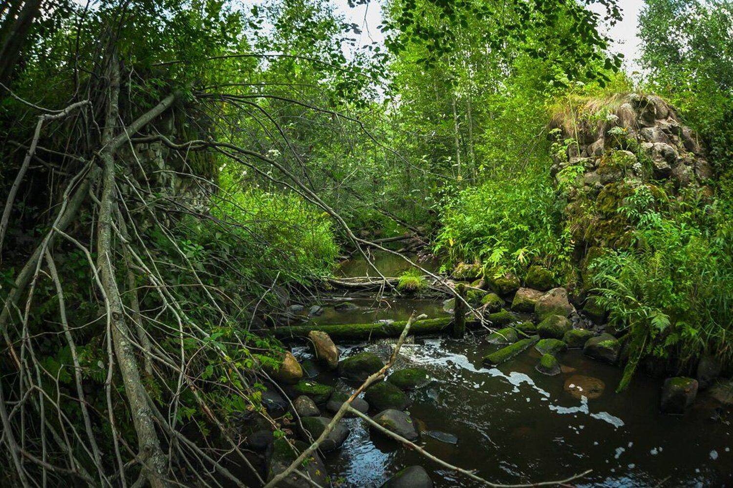 Мост, Природа, Развалины, Ручей, Артур Ярославский