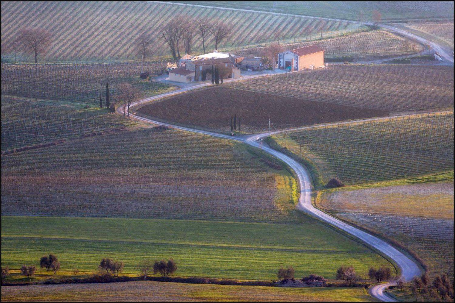 Италия, Монтальчино, Тоскана, Александр Марецкий