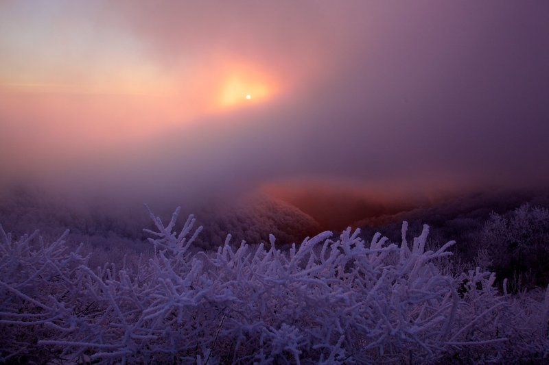 пламя и снег фото превью
