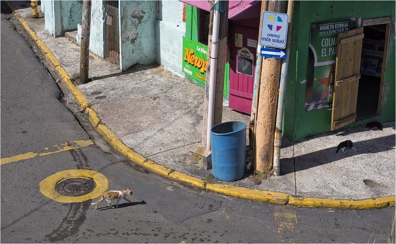 Perla, San Juan Время сиесты фото превью