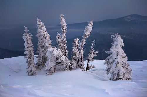 Pro сумерки Шерегешского вечера