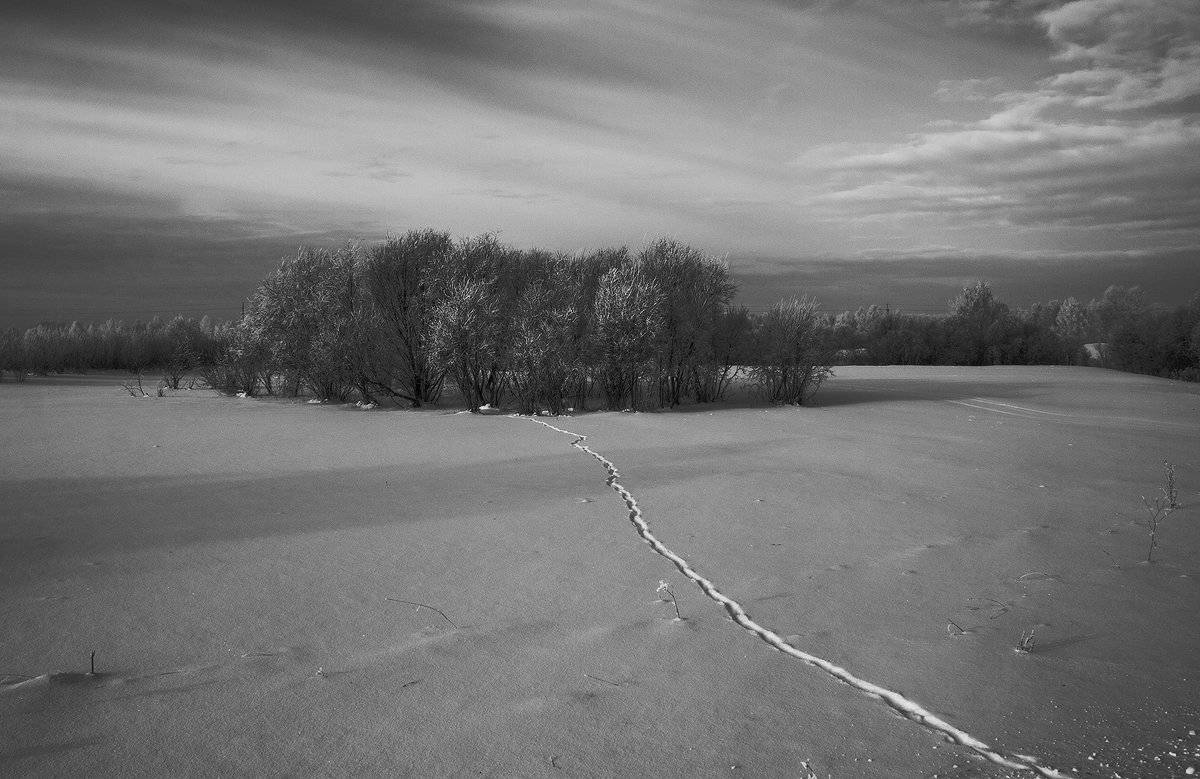 , Николай Морский