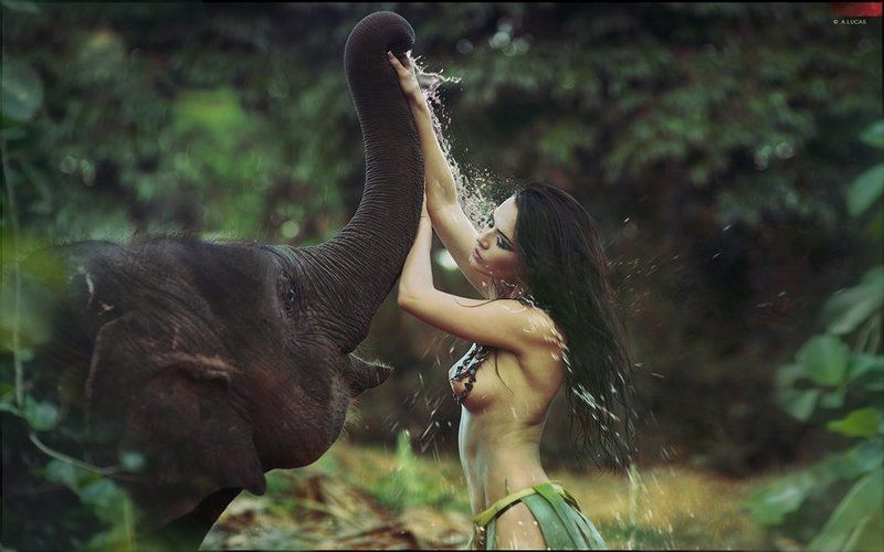 lucas, lucastudio, nude bone elephant фото превью