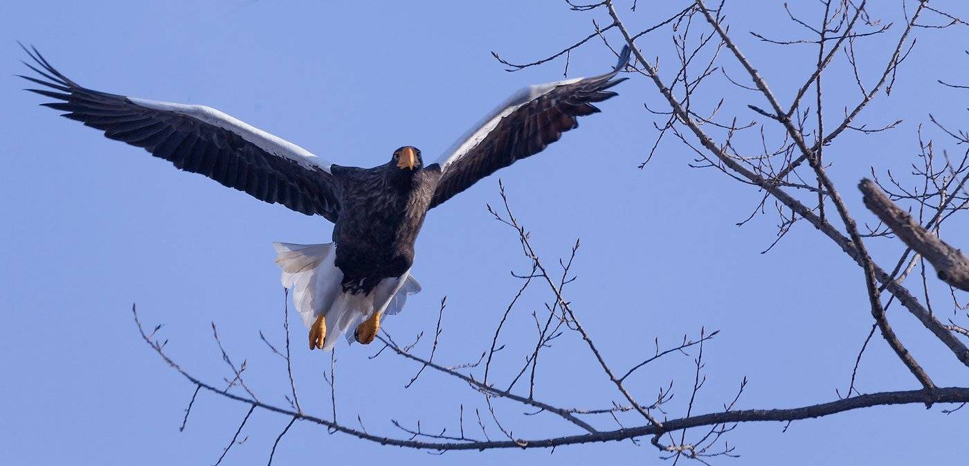 , Евгений Слободской