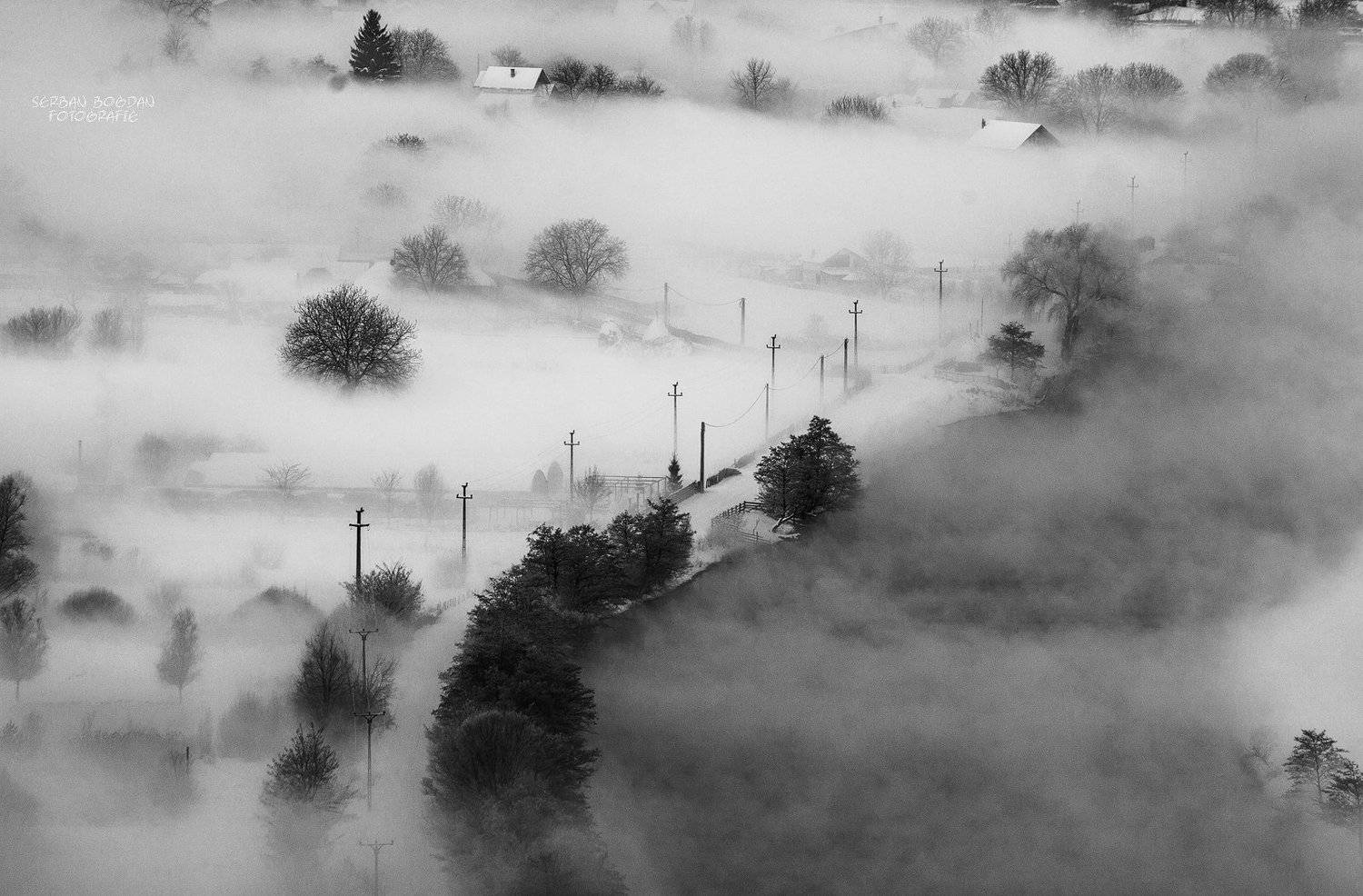 Black and white, Winter, Serban Bogdan