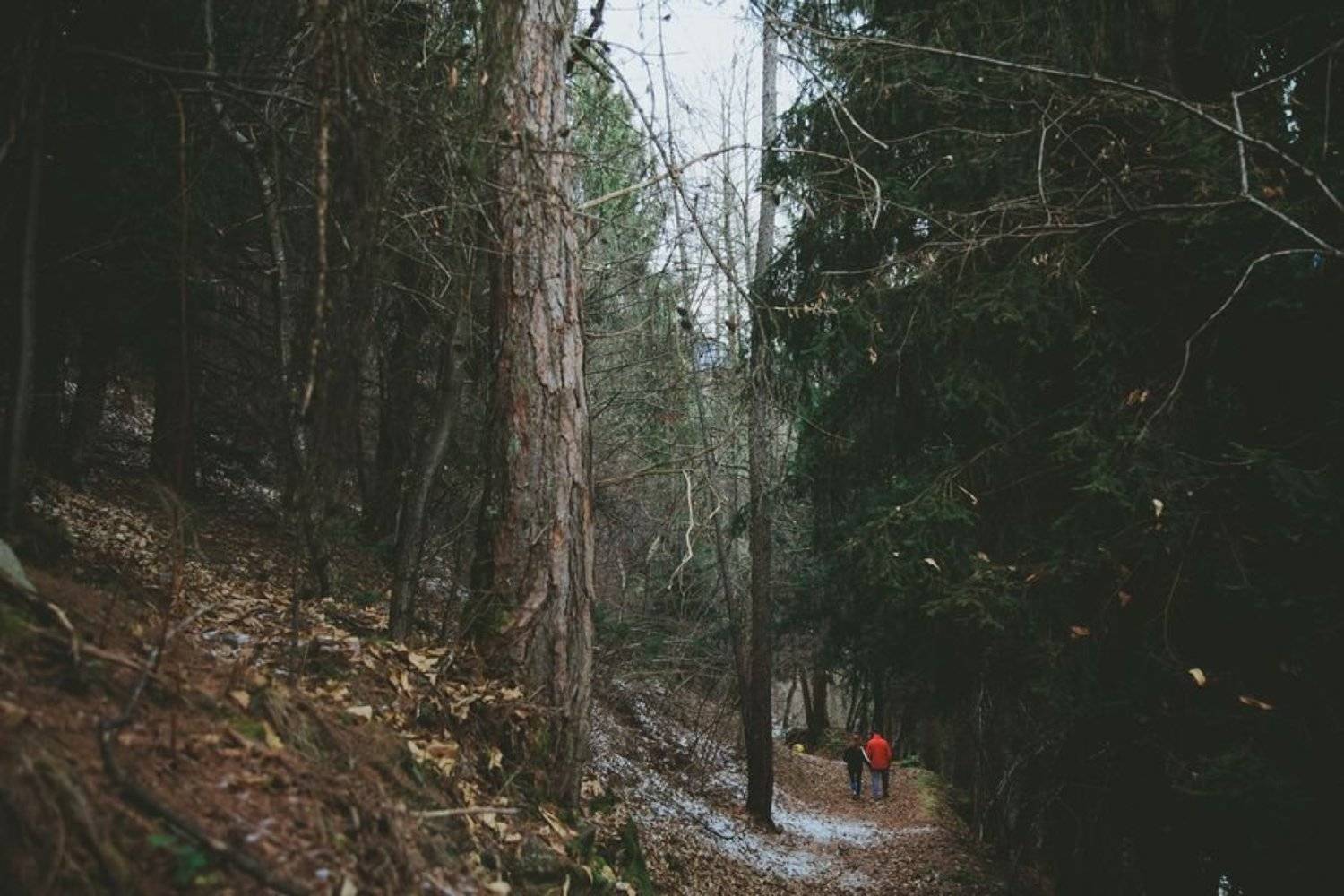 , Svetlana Cozlitina