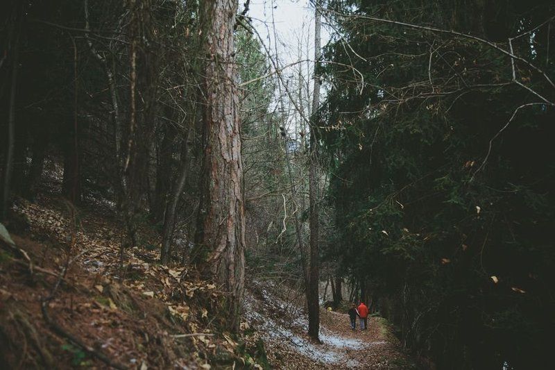 male фото превью