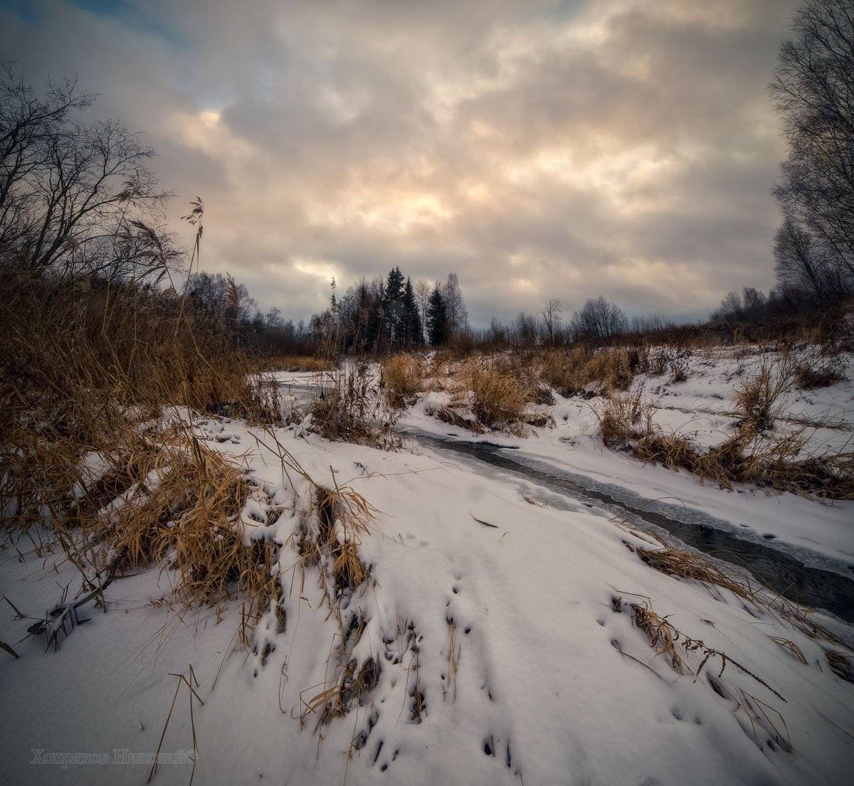 , Хохряков Николай