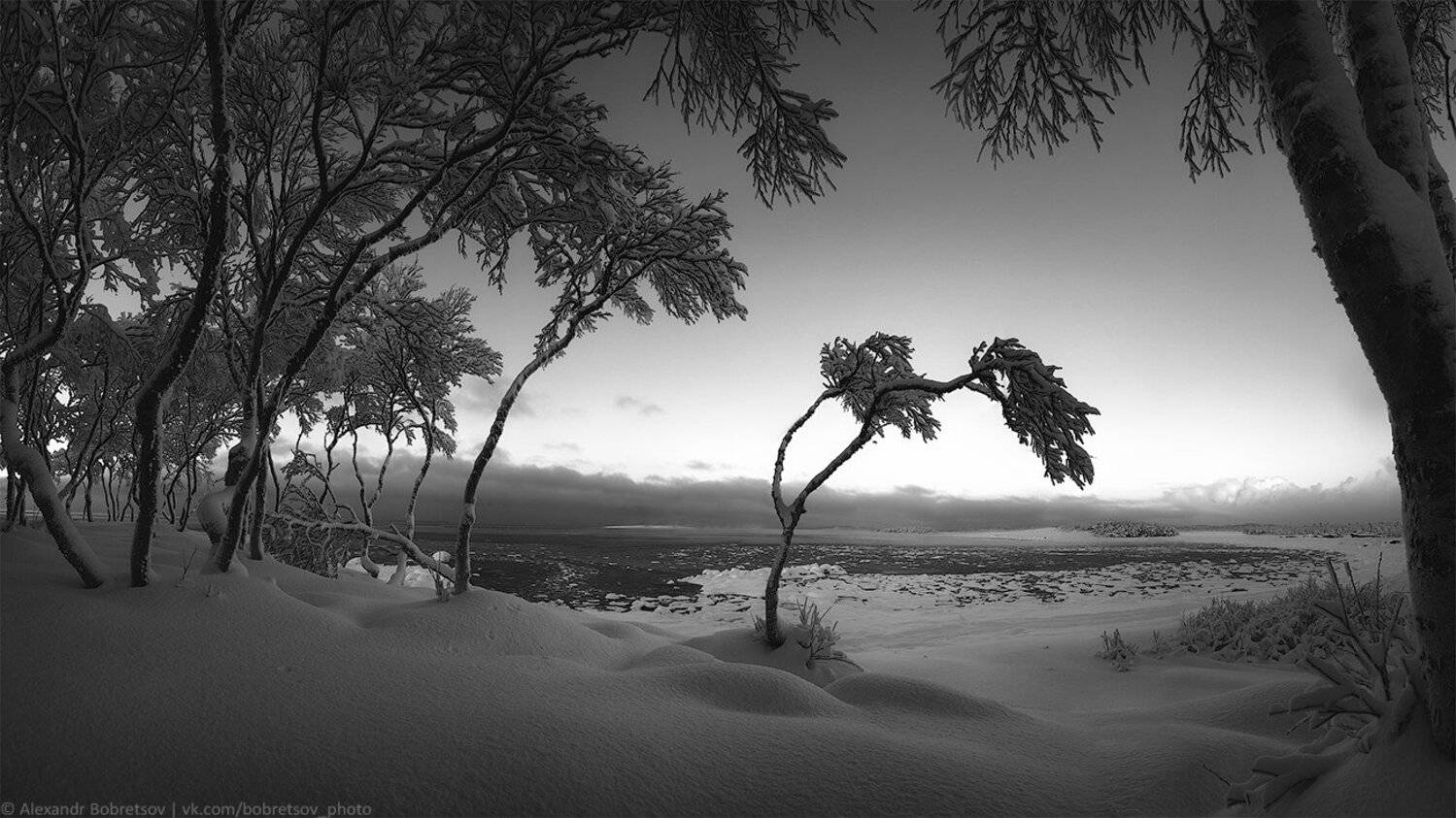 , Александр Бобрецов