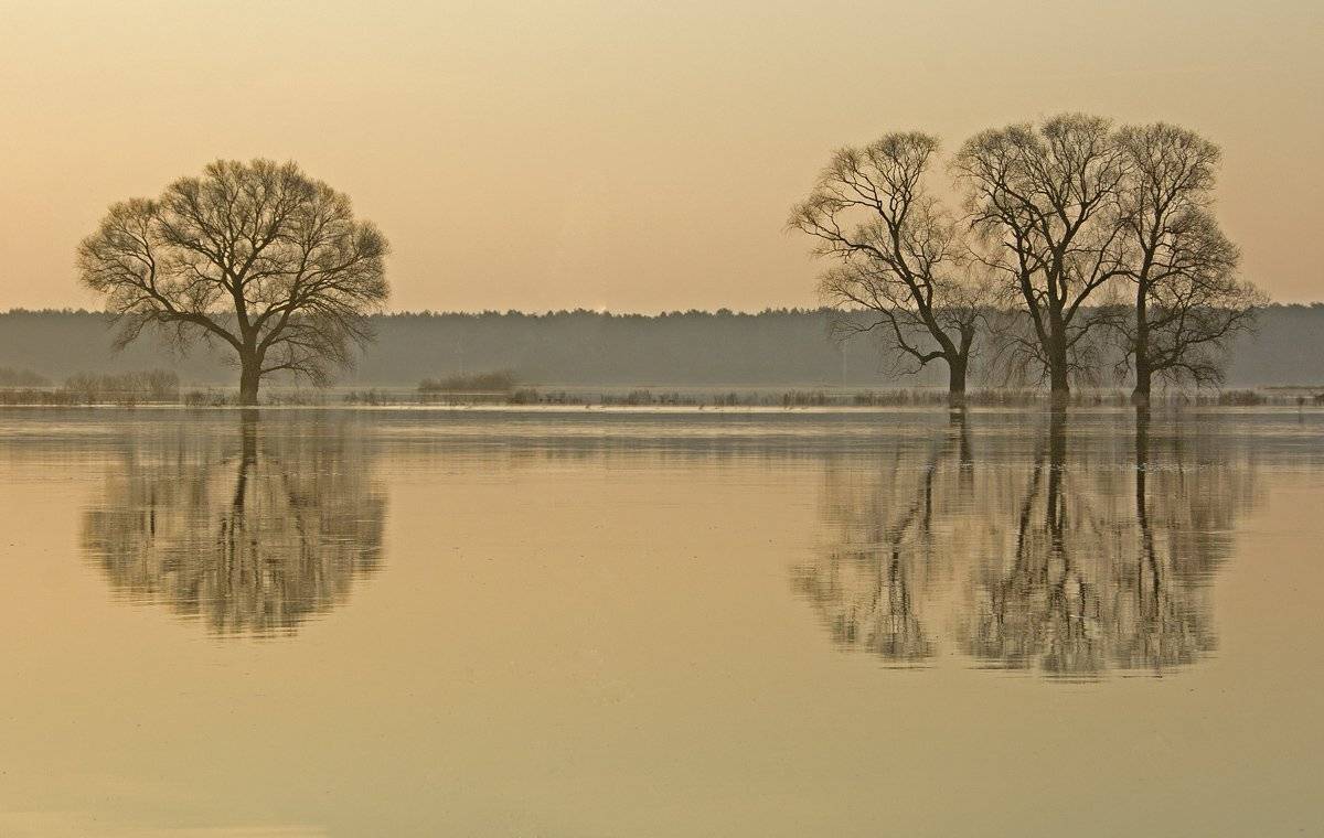 , Валерий Кондратов