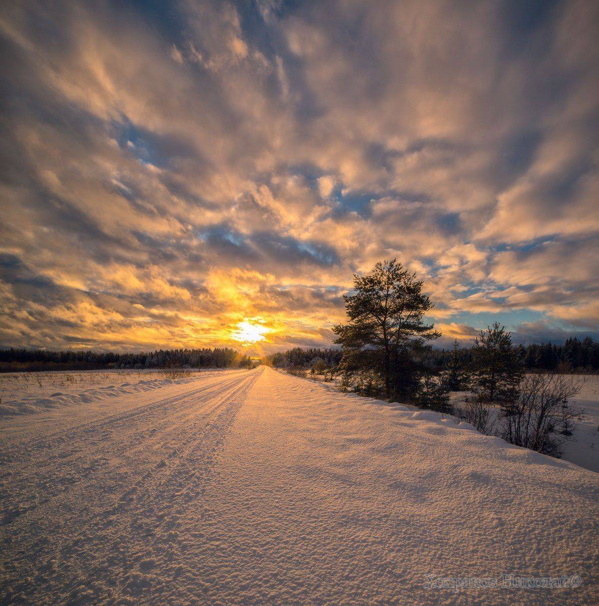 , Хохряков Николай