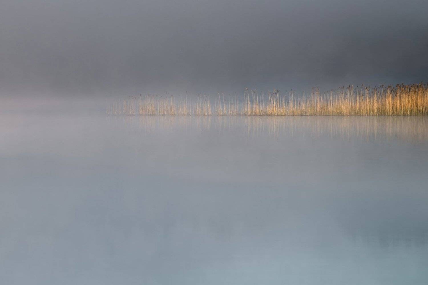 , Rimantas Bikulcius