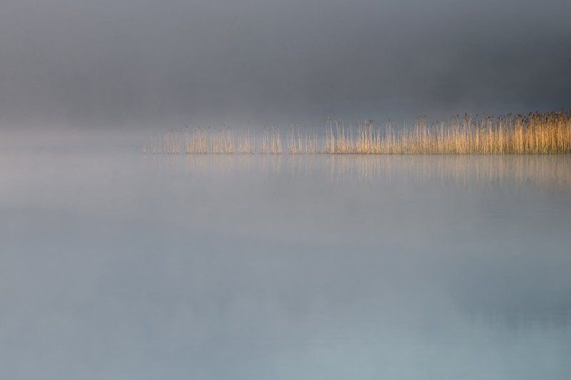 Предел фото превью