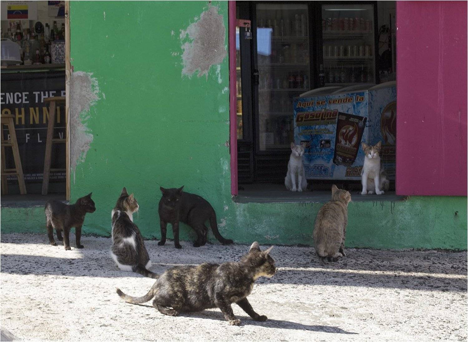 Puerto Rico, Boris Zhitomirsky