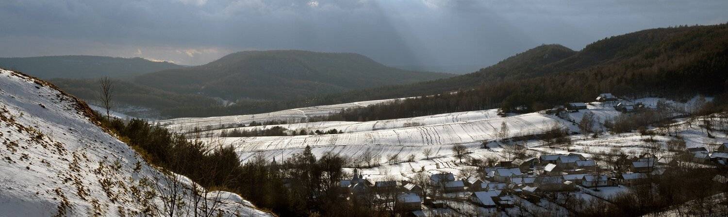 , Николай Шахманцир