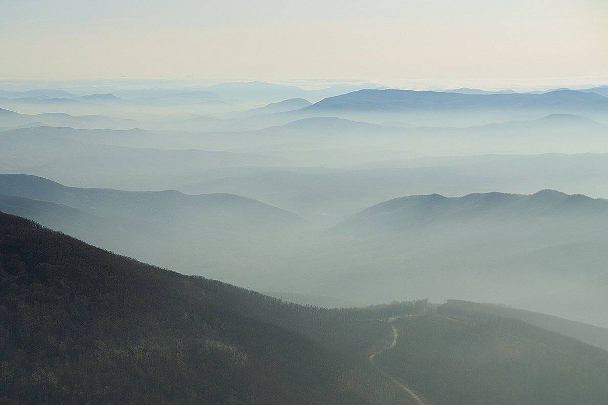 , Сидоренко Алексей