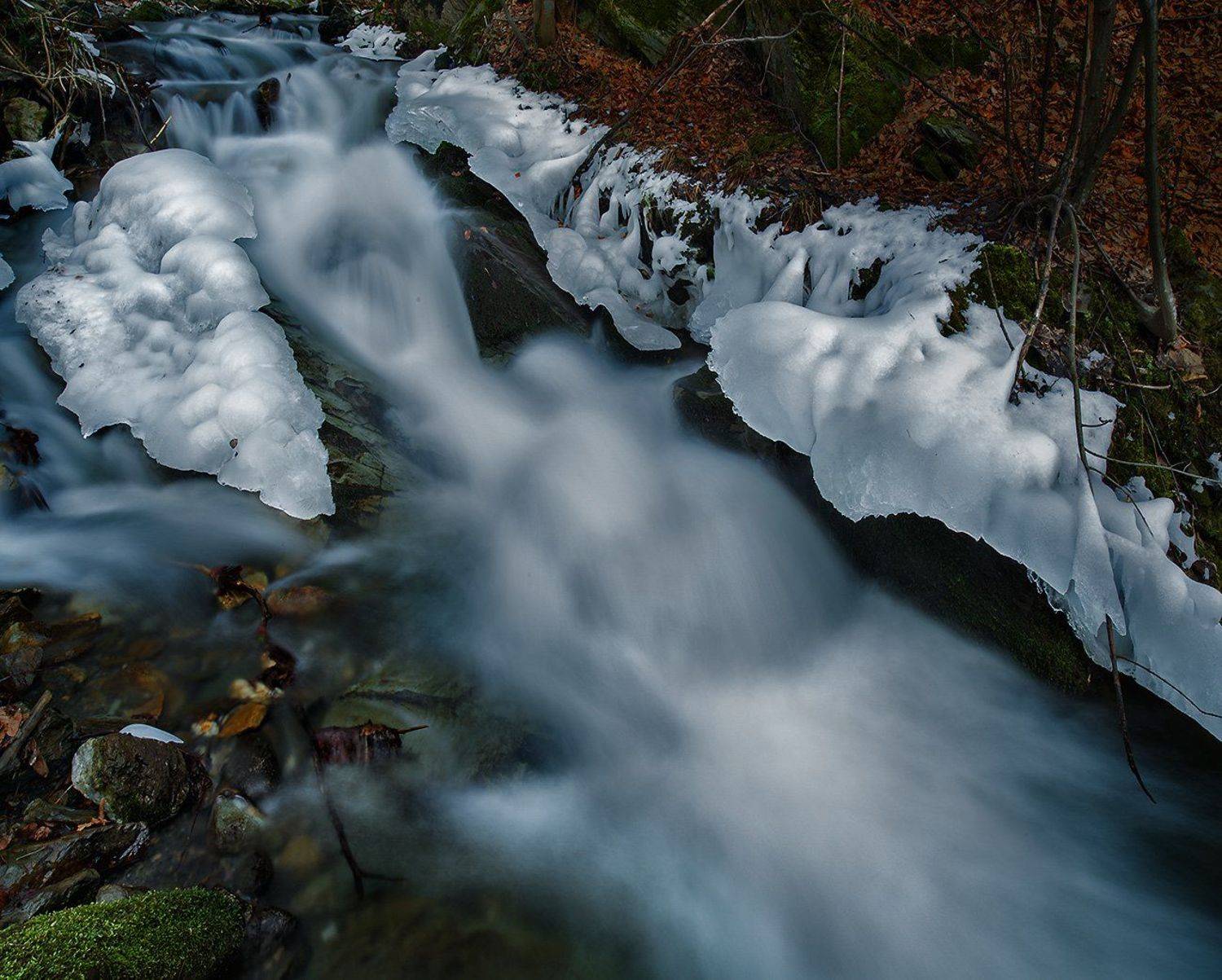 , Деян Косев