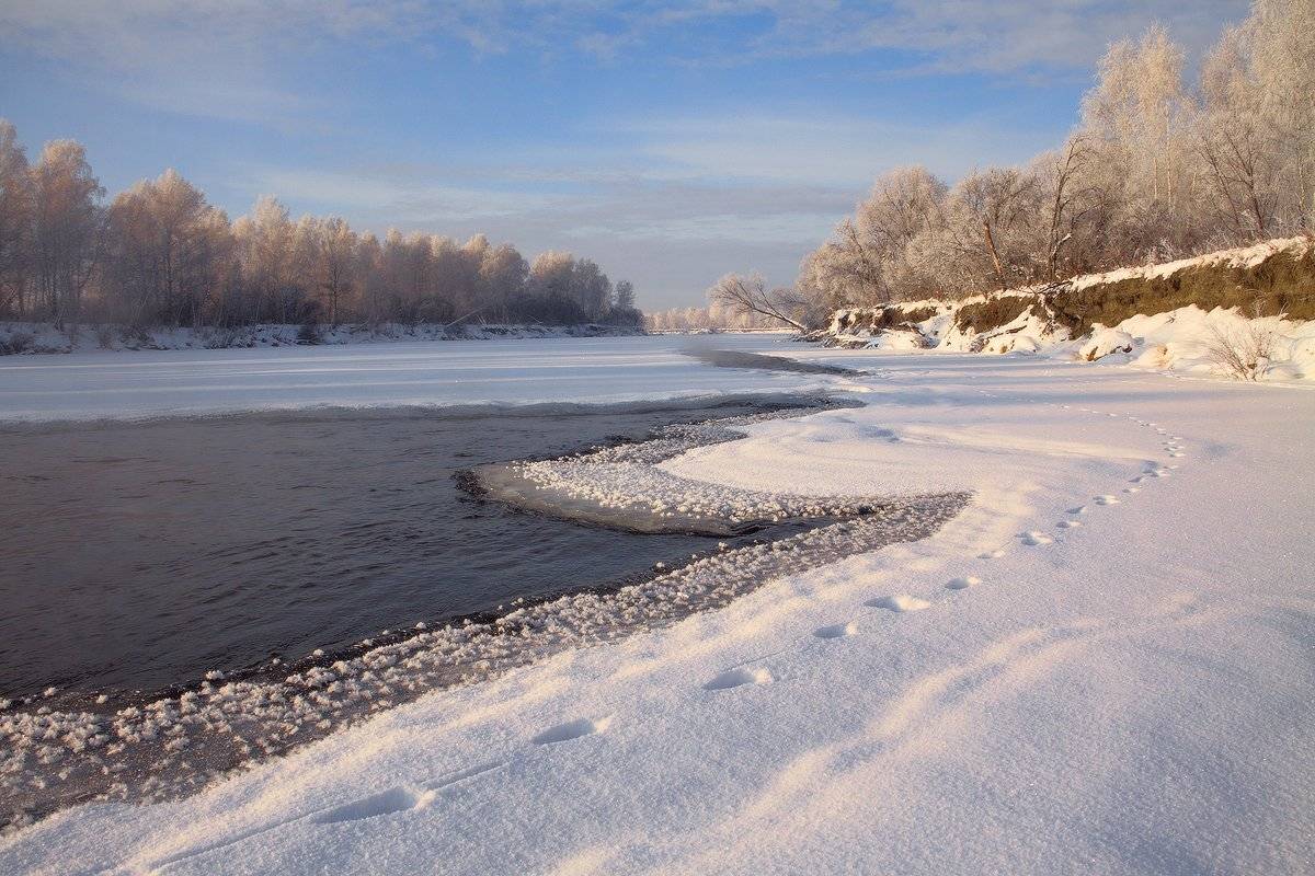 , Николай Морский