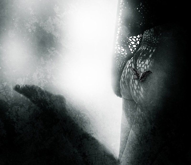 Butterfly фото превью