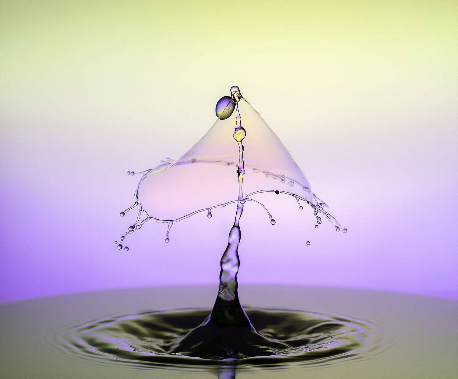 WATER,LIQUID,ABSTRACT,BLUE,LIQUID ART,DROPS,MACRO,SPLASH PHOTO,SPLASH,SPLASHING,STILL LIFE,DROP,DROPLET,DROPLETS,WATER DROP,WATER DROPS,RIPPLE,RIPPLES,CLOSE UP,CLOSE-UP, Sayadi Yousef