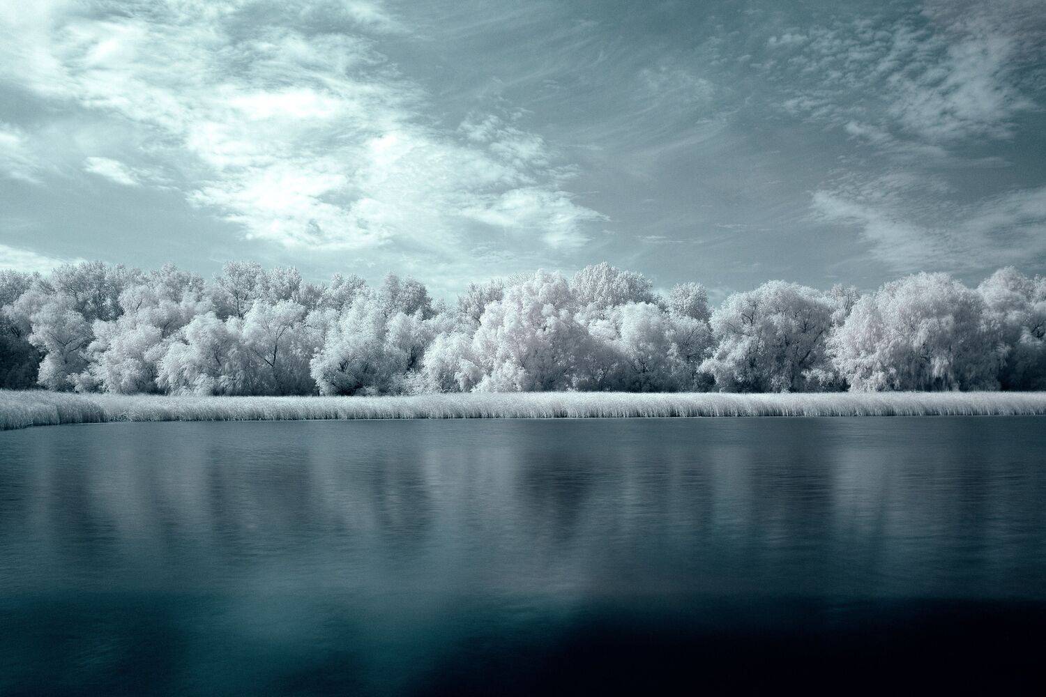 ir760, volgograd, russia, wildlife, , Сторчилов Павел
