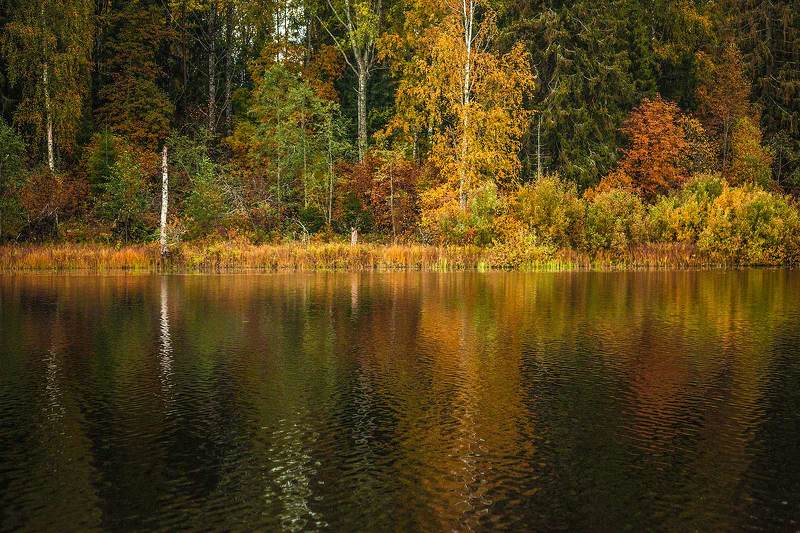 Палитра осени фото превью