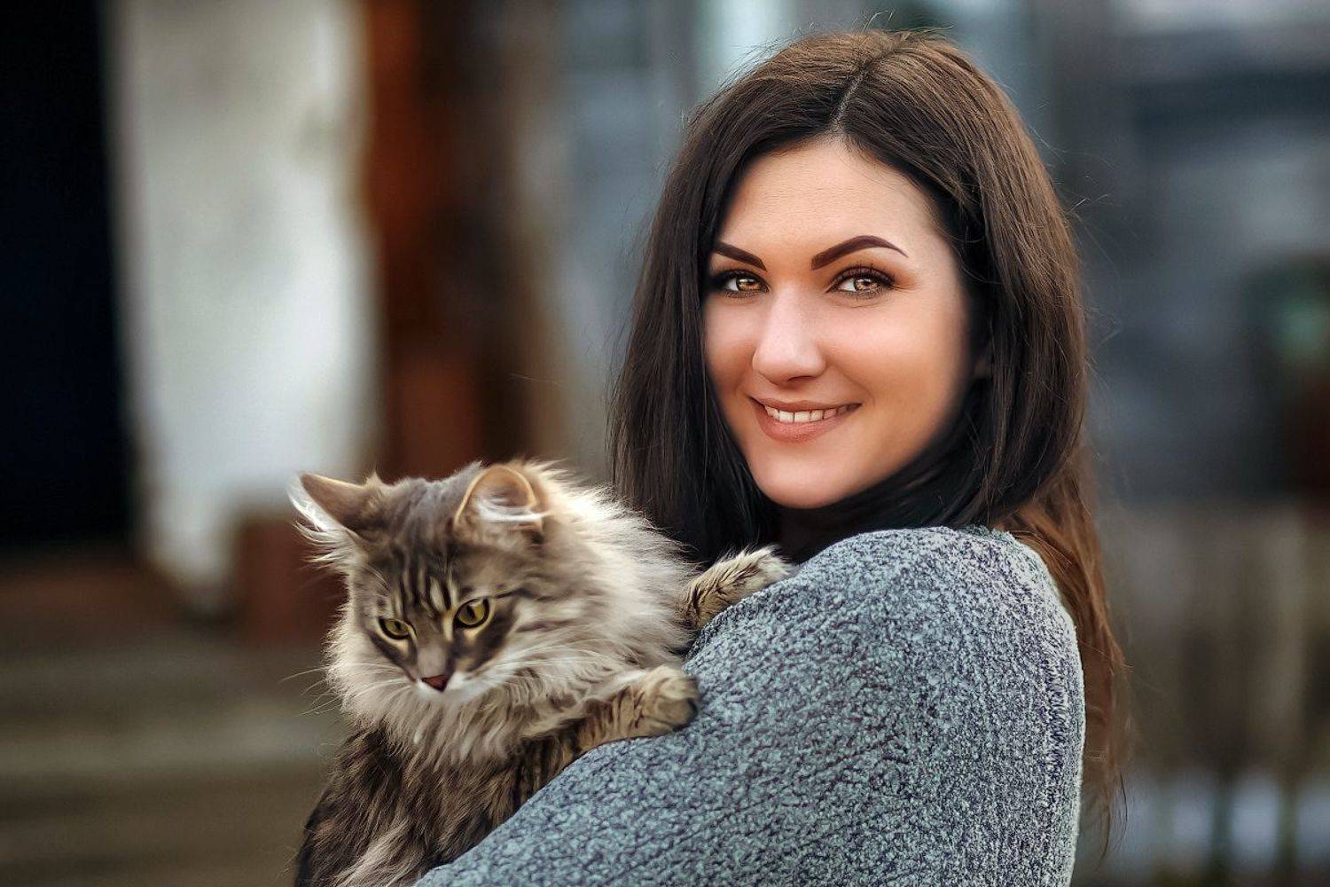 , Покровский Алексей