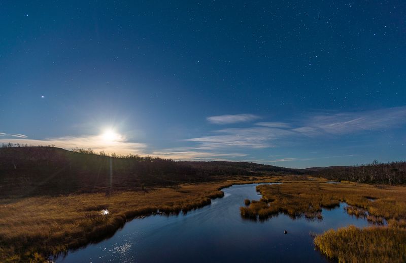 ...духи ночных болот фото превью