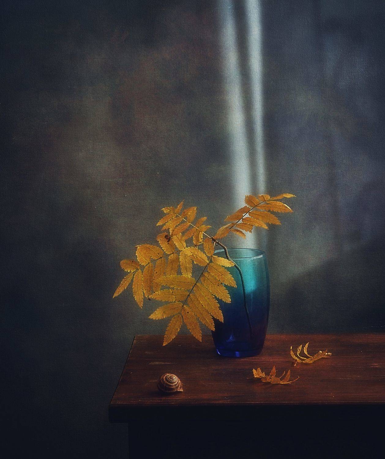 натюрморт,композиция,минимализм,осень,листья, Наталия К
