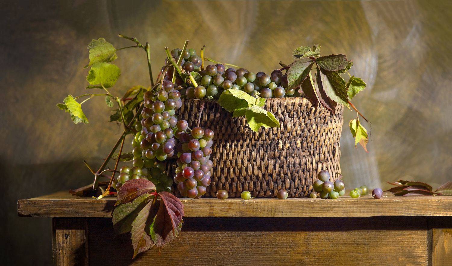 , Светлана Сушкевич